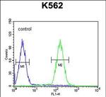 LCE2B Antibody in Flow Cytometry (Flow)