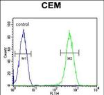 CRCT1 Antibody in Flow Cytometry (Flow)