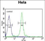 CTDSPL Antibody in Flow Cytometry (Flow)