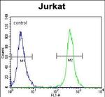 SLC43A2 Antibody in Flow Cytometry (Flow)