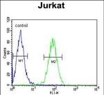 Claudin 22 Antibody in Flow Cytometry (Flow)