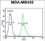 AKT1 Antibody in Flow Cytometry (Flow)