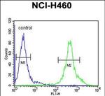 DENND1B Antibody in Flow Cytometry (Flow)
