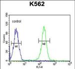 PAX1 Antibody in Flow Cytometry (Flow)