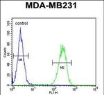 PRSS3 Antibody in Flow Cytometry (Flow)
