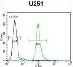 Vitrin Antibody in Flow Cytometry (Flow)