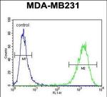 cGAS Antibody in Flow Cytometry (Flow)