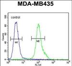 MYCT1 Antibody in Flow Cytometry (Flow)