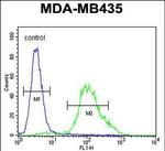 ZNF98 Antibody in Flow Cytometry (Flow)