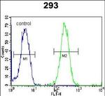 ZNF780A Antibody in Flow Cytometry (Flow)