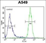GOLGA2L1 Antibody in Flow Cytometry (Flow)