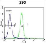ZNF611 Antibody in Flow Cytometry (Flow)