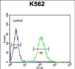 TEX9 Antibody in Flow Cytometry (Flow)