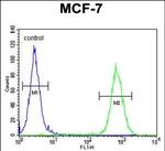 RICH2 Antibody in Flow Cytometry (Flow)