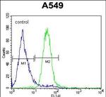 C5AR1 Polyclonal Antibody