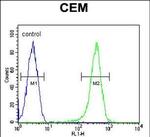 COX10 Antibody in Flow Cytometry (Flow)