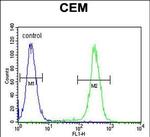 HIST1H2BJ Antibody in Flow Cytometry (Flow)