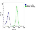 GSDMC Antibody in Flow Cytometry (Flow)