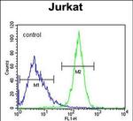 CWC22 Antibody in Flow Cytometry (Flow)