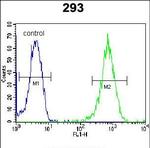 LARP6 Antibody in Flow Cytometry (Flow)