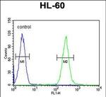 TCL6 Antibody in Flow Cytometry (Flow)