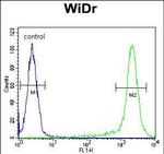 AMAC1L2 Antibody in Flow Cytometry (Flow)