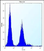 Olfr1500 Antibody in Flow Cytometry (Flow)
