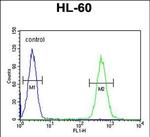 BTNL3 Antibody in Flow Cytometry (Flow)