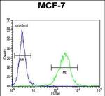 OR6C4 Antibody in Flow Cytometry (Flow)