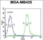 VPS52 Antibody in Flow Cytometry (Flow)