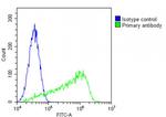 CD31 Antibody in Flow Cytometry (Flow)