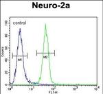 MRPS34 Antibody in Flow Cytometry (Flow)