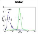 RPEL1 Antibody in Flow Cytometry (Flow)