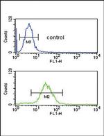 Cofilin Antibody in Flow Cytometry (Flow)
