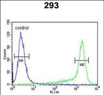 PRDX6 Antibody in Flow Cytometry (Flow)