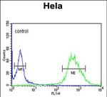 CP054 Antibody in Flow Cytometry (Flow)