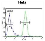 CLEC2B Antibody in Flow Cytometry (Flow)