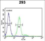 c-Kit Antibody in Flow Cytometry (Flow)