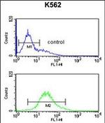RPS15A Antibody in Flow Cytometry (Flow)