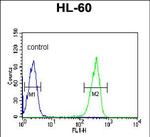 KRT9 Antibody in Flow Cytometry (Flow)