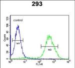 CCR1 Antibody in Flow Cytometry (Flow)