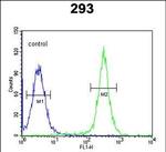 GSDMA Antibody in Flow Cytometry (Flow)