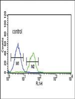 LRRN3 Antibody in Flow Cytometry (Flow)