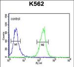 SEZ6L2 Antibody in Flow Cytometry (Flow)