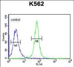 GTF2IRD2 Antibody in Flow Cytometry (Flow)