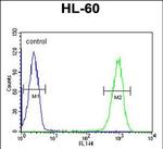 TMEM57 Antibody in Flow Cytometry (Flow)