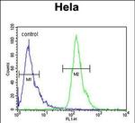 POTEH Antibody in Flow Cytometry (Flow)