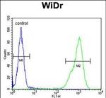 TPPP3 Antibody in Flow Cytometry (Flow)