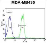 BTNL8 Antibody in Flow Cytometry (Flow)