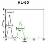 CD80 Antibody in Flow Cytometry (Flow)